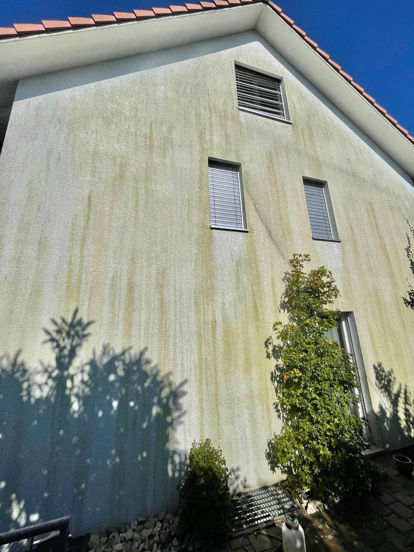 Fassadenreinigung – Vorher