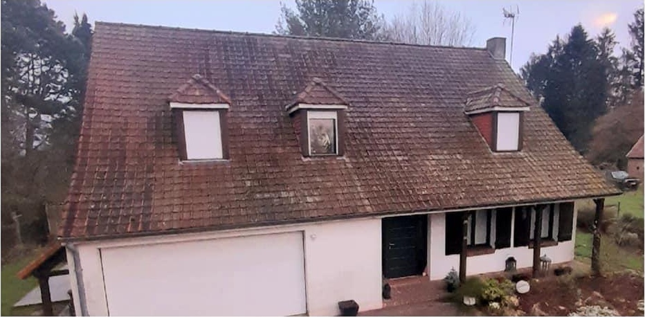 Dachreinigung – Vorher